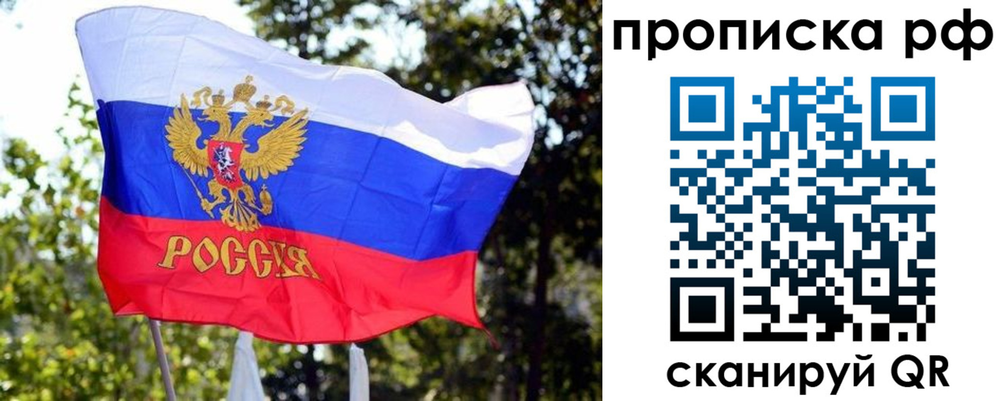 временная регистрация надежно в Архангельске